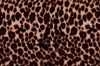 Cheetah 129 - Classy Gauges